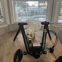 Cycle Ops Bike Trainer 