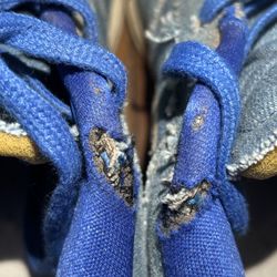 Devin Booker Chapter One Blue