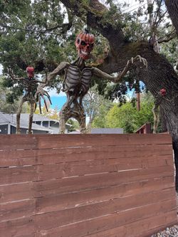 12’ Animated Skeleton