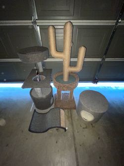 Cat Scratchers/bed