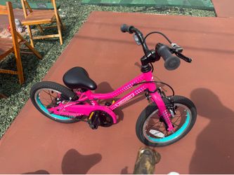 Guardian Bike