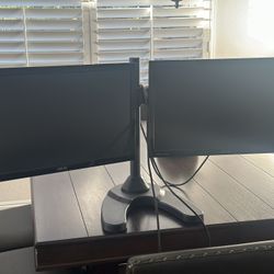 Dual Monitors and Stand