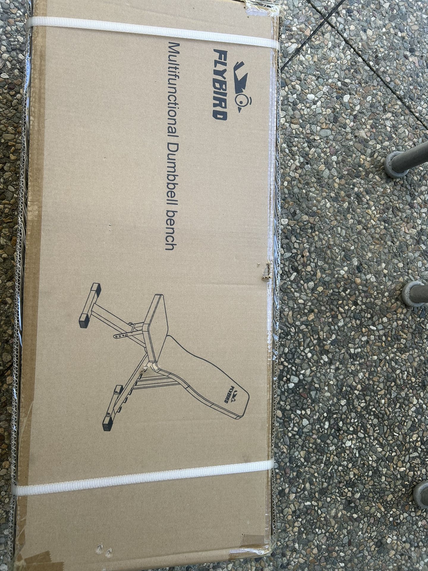 Gym Equipment
