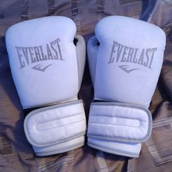 12 oz Everlast Boxing Gloves