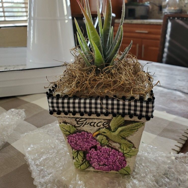 New Farmhouse  Ceramic Pot With Succulent