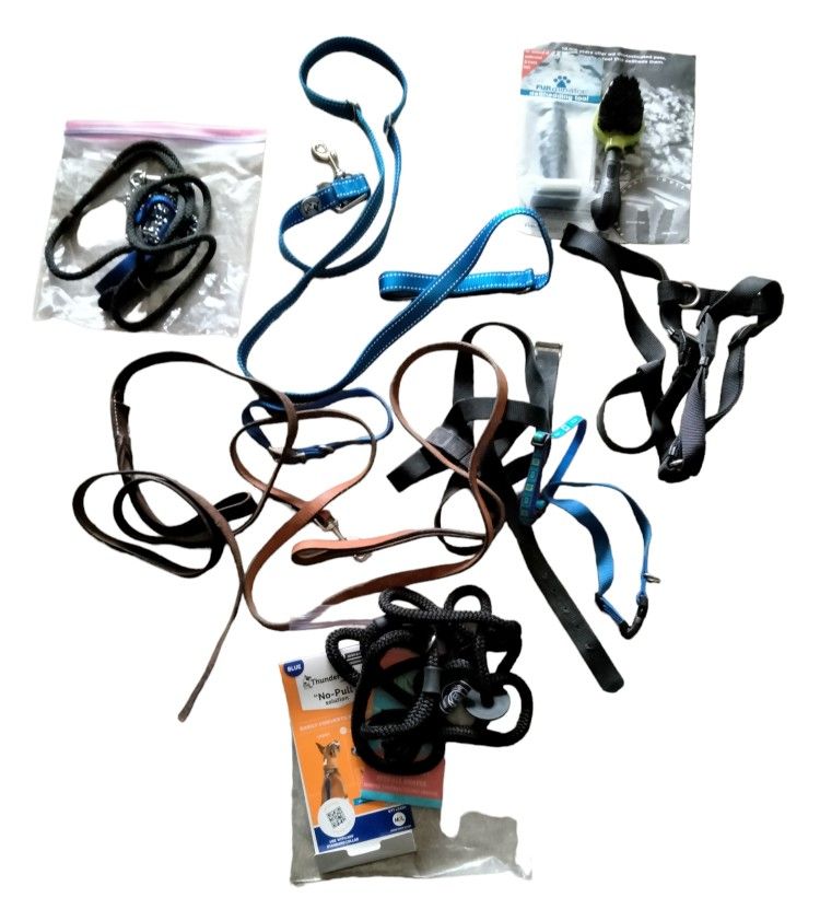 Dog Stuff: Leashes, Leads, Harnesses, Brushes Lot