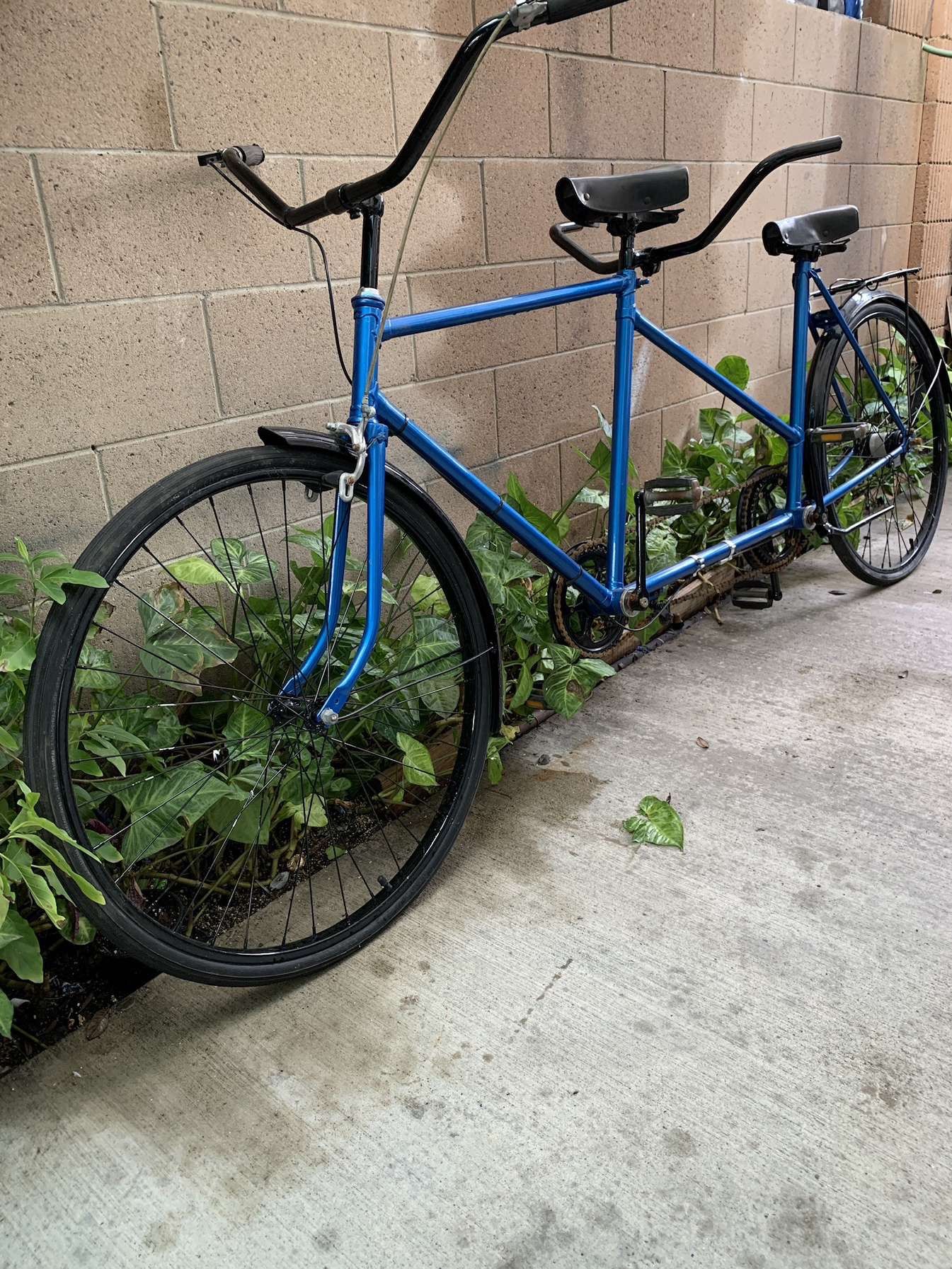 2 Seater Bike for Sale in Anaheim, CA - OfferUp
