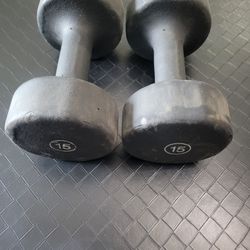 Dumbbells (15lbs Pair)