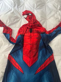 Men’s Spider-Man costume