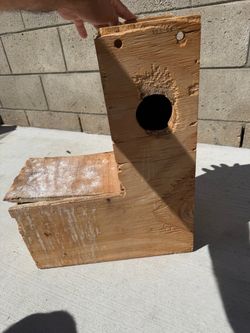 Bird nest box