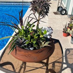 14” Patio Bowl With Succulents