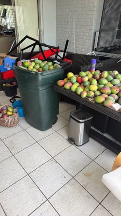 Best sweet Mangoes