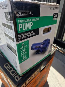 Shop Everbilt 2 HP Cast Iron Lawn Irrigation Pump