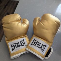 Everlast Gloves 