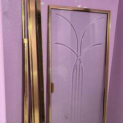 Shower Door