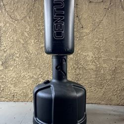 Original wavemaster punching bag