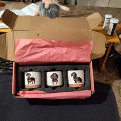 Planter Pots Gift Set-NEW