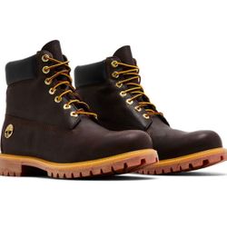 DS BRAND NEW Timberland Boots 6 Inch, Espresso Size 11.5