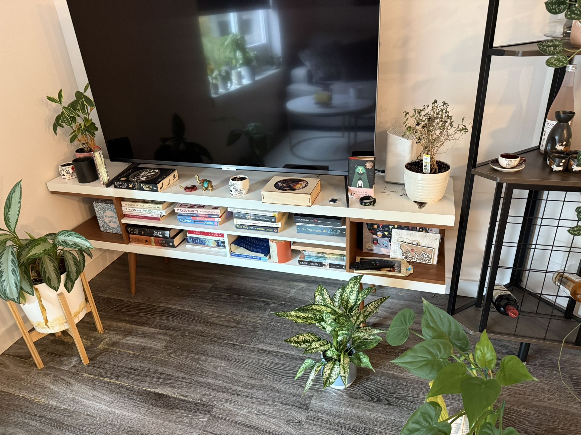 TV Stand 
