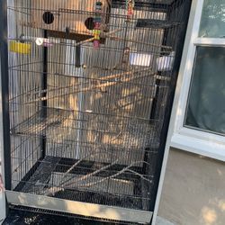 Large Bird Cage + Toys