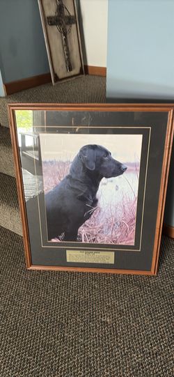 Framed art, large wild kingdom series, $25  best offer pick up in Stone Lake