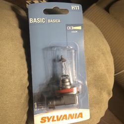 H11 Headlight bulb