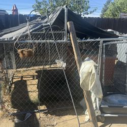 Dog Run/House