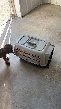 Small Dog Kennel