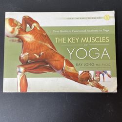 The key muscles of Yoga