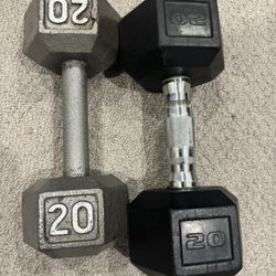 20 Pound Dumbbells 