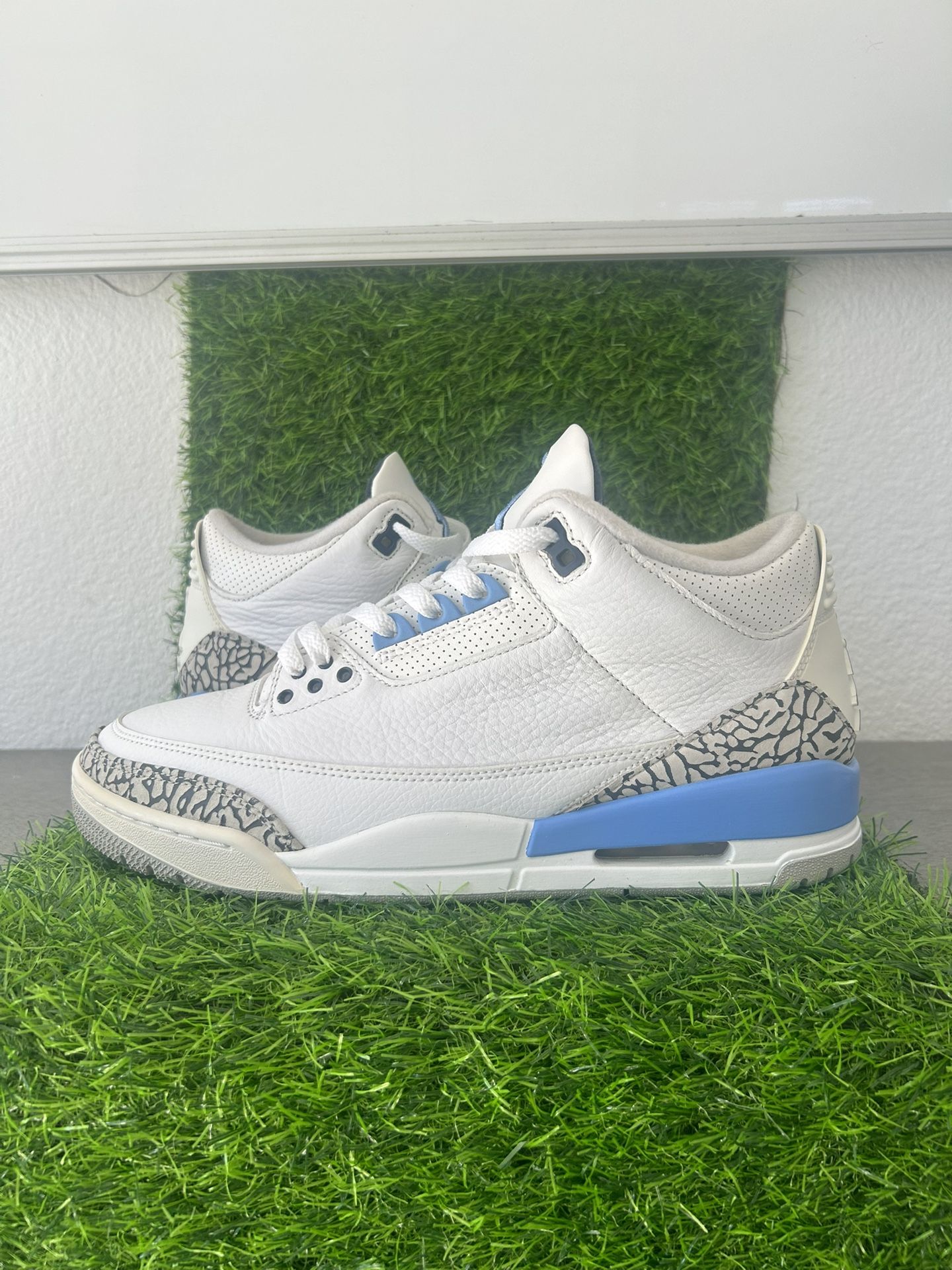 Jordan 3s 