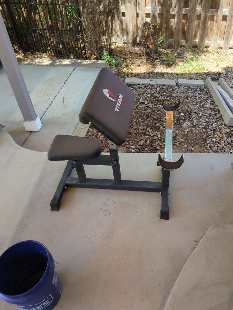 Bicep Curl Bench