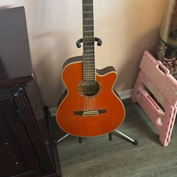 Ibanez Acoustic Guitar
