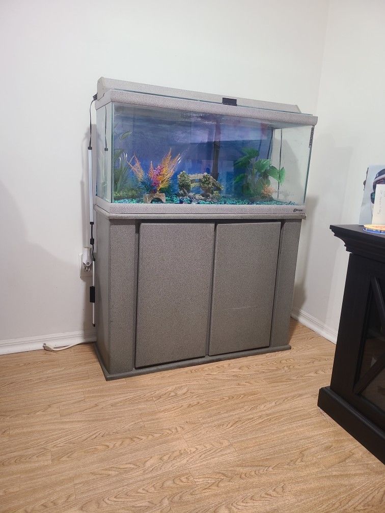 Used Fish Tank