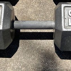Weigh Single 50 Lbs 