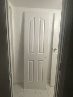 Door 24 x 80