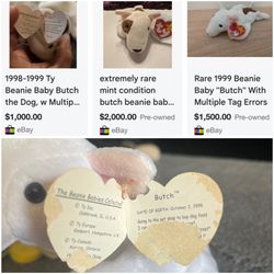Rare Beanie Baby Butch