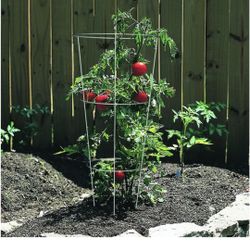 20 Galvanized Steel Wire Round Tomato Cage