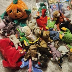 90sbeanie Babies!