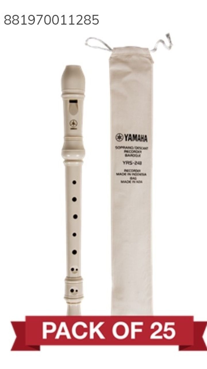 Flute Never Used