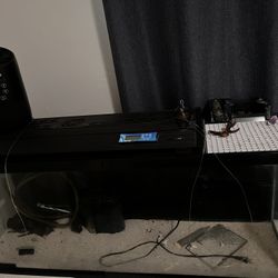 55 Gallon Fish Tank 
