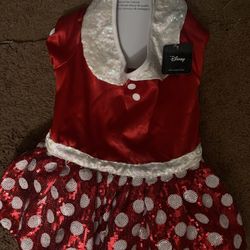 Minnie Mouse Dress Dog costume 