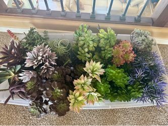 40+ pieces of artificial succulents