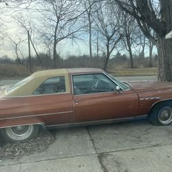 1975 Electra 225