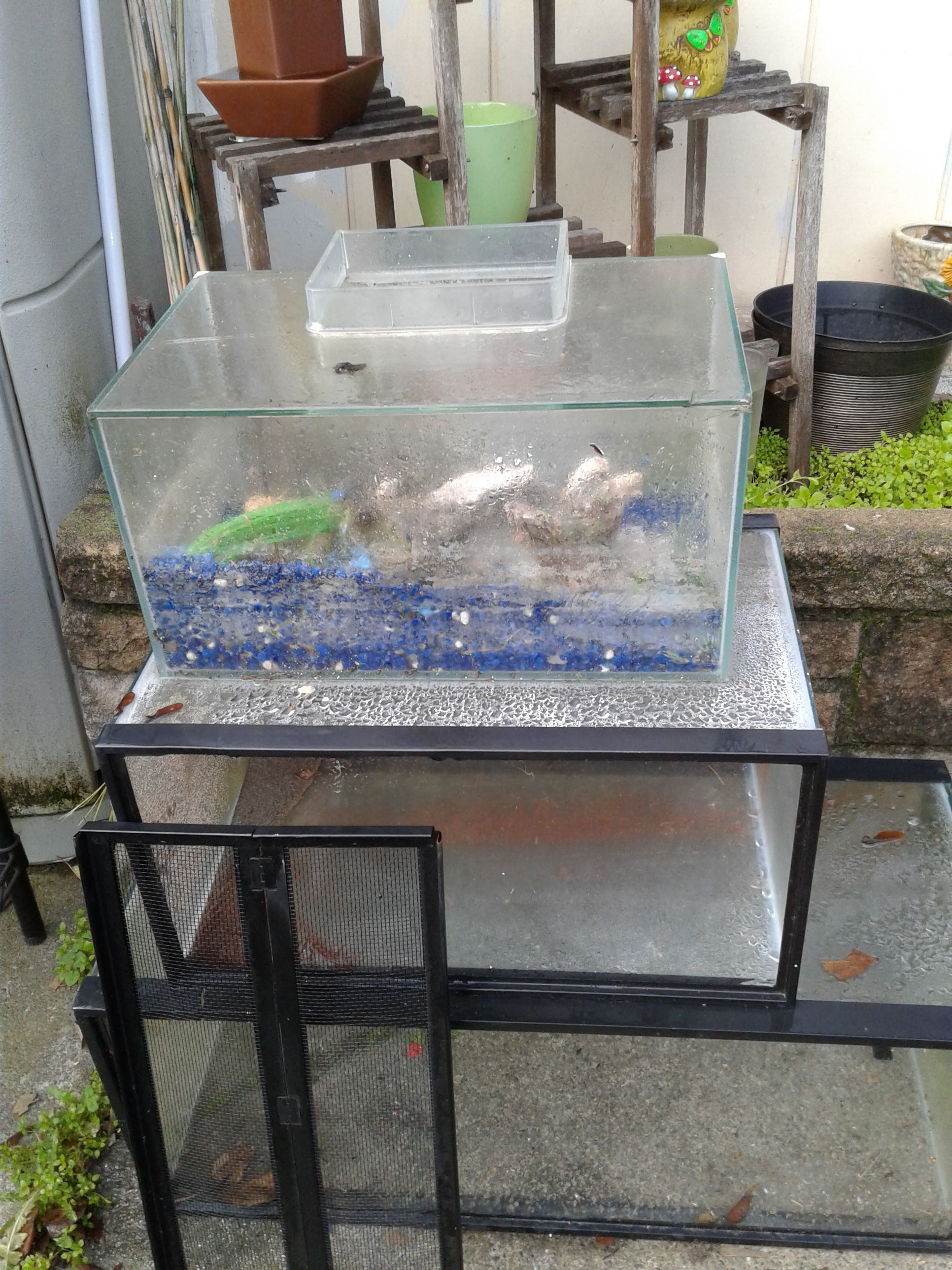 Complete fish tank