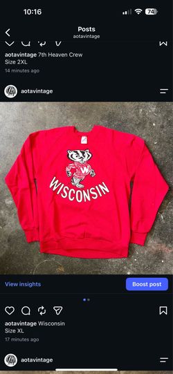 Vintage Wisconsin Badgers Crewneck Sweater
