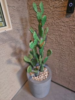 Fake cactus