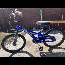 Schwinn bike for kids