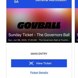 2 Tickets To Gov Ball (governors Ball). Sunday