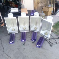 Grow Lights (Great Deal)